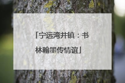 宁远湾井镇：书林翰墨传情谊