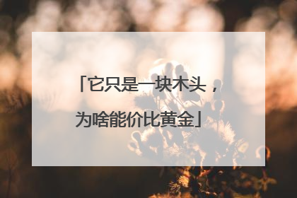 它只是一块木头，为啥能价比黄金