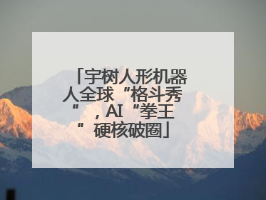 宇树人形机器人全球“格斗秀”，AI“拳王”硬核破圈