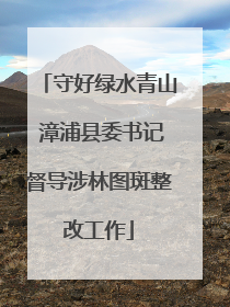 守好绿水青山 漳浦县委书记督导涉林图斑整改工作