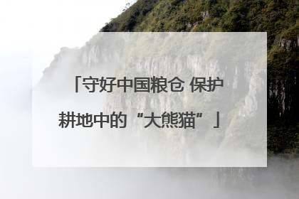 守好中国粮仓 保护耕地中的“大熊猫”