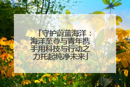守护蔚蓝海洋：海洋至尊与青年携手用科技与行动之力托起纯净未来