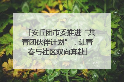 安丘团市委推进“共青团伙伴计划”，让青春与社区双向奔赴