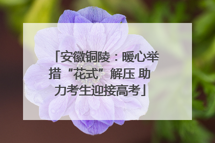安徽铜陵：暖心举措“花式”解压 助力考生迎接高考