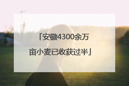 安徽4300余万亩小麦已收获过半