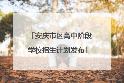 安庆市区高中阶段学校招生计划发布