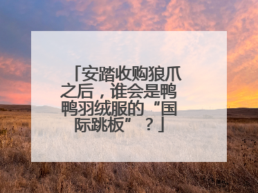 安踏收购狼爪之后，谁会是鸭鸭羽绒服的“国际跳板”？