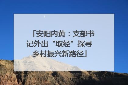 安阳内黄：支部书记外出“取经”探寻乡村振兴新路径