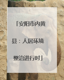 安阳市内黄县：人居环境整治进行时