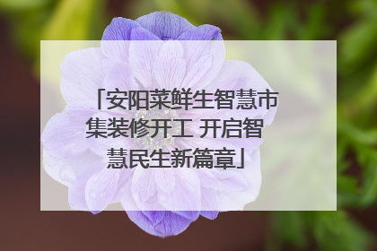 安阳菜鲜生智慧市集装修开工 开启智慧民生新篇章