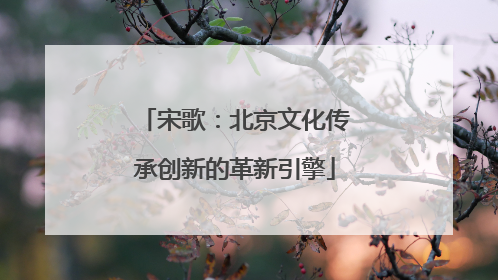 宋歌：北京文化传承创新的革新引擎