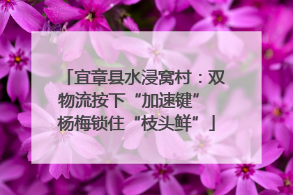 宜章县水浸窝村：双物流按下“加速键” 杨梅锁住“枝头鲜”