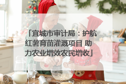 宜城市审计局：护航红薯育苗灌溉项目 助力农业增效农民增收
