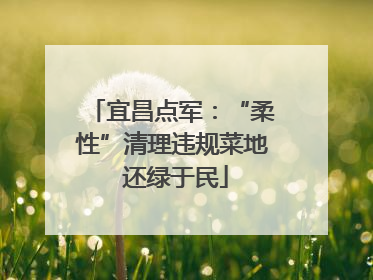 宜昌点军：“柔性”清理违规菜地 还绿于民