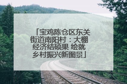 宝鸡陈仓区东关街道南阳村：大棚经济结硕果 绘就乡村振兴新图景