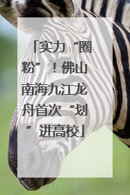 实力“圈粉”！佛山南海九江龙舟首次“划”进高校