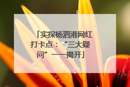 实探杨泗港网红打卡点：“三大疑问”一一揭开