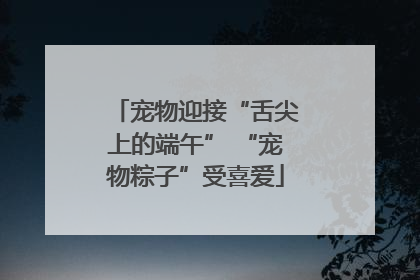 宠物迎接“舌尖上的端午” “宠物粽子”受喜爱