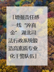 增强责任感 一线“淬真金” 湖北司法行政系统锻造高素质专业化干警队伍
