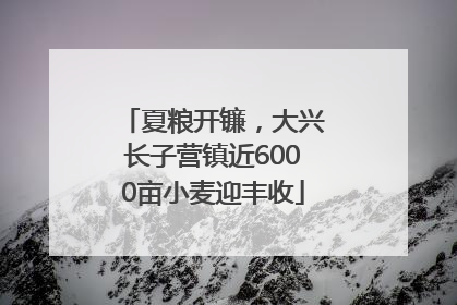 夏粮开镰，大兴长子营镇近6000亩小麦迎丰收