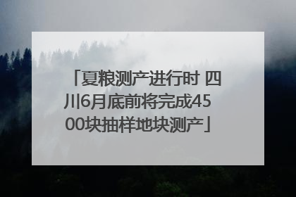 夏粮测产进行时 四川6月底前将完成4500块抽样地块测产