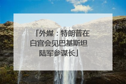 外媒：特朗普在白宫会见巴基斯坦陆军参谋长