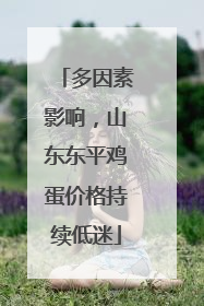 多因素影响，山东东平鸡蛋价格持续低迷