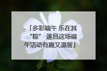 多彩端午 乐在其“粽” 遂昌这场端午活动有趣又温馨