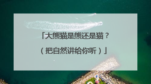 大熊猫是熊还是猫？（把自然讲给你听）