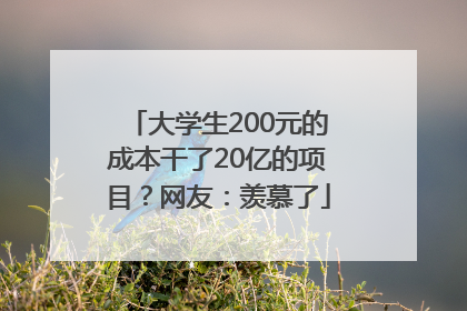 大学生200元的成本干了20亿的项目？网友：羡慕了