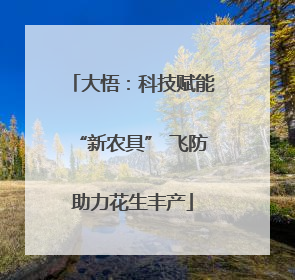 大悟：科技赋能“新农具” 飞防助力花生丰产