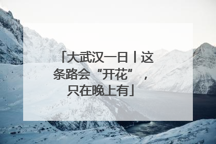大武汉一日丨这条路会“开花”，只在晚上有