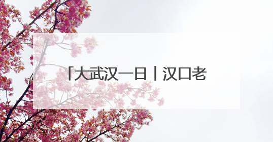 大武汉一日︱汉口老街上新，太“豆”了