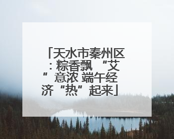天水市秦州区：粽香飘 “艾”意浓 端午经济“热”起来