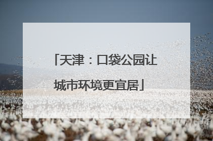 天津：口袋公园让城市环境更宜居