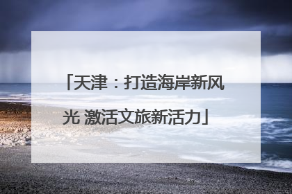 天津：打造海岸新风光 激活文旅新活力