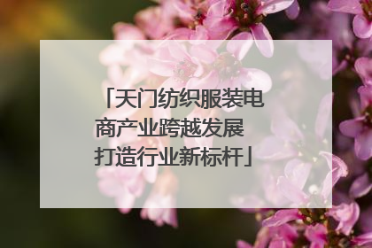 天门纺织服装电商产业跨越发展 打造行业新标杆