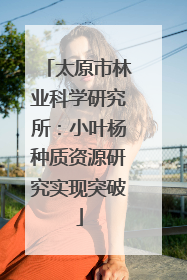 太原市林业科学研究所：小叶杨种质资源研究实现突破