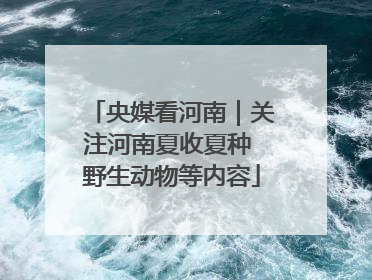 央媒看河南｜关注河南夏收夏种 野生动物等内容