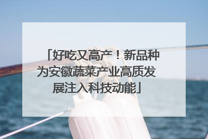 好吃又高产！新品种为安徽蔬菜产业高质发展注入科技动能