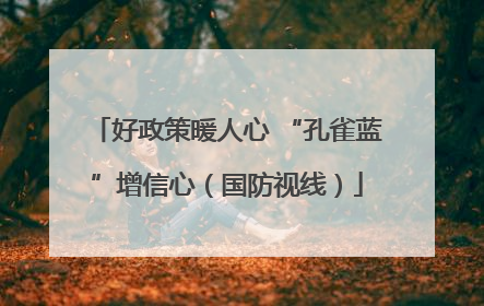 好政策暖人心 “孔雀蓝”增信心（国防视线）