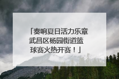 奏响夏日活力乐章 武昌区杨园街道篮球赛火热开赛！