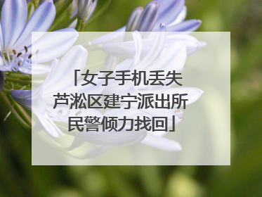 女子手机丢失 芦淞区建宁派出所民警倾力找回