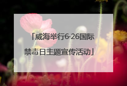 威海举行6·26国际禁毒日主题宣传活动