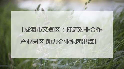 威海市文登区：打造对非合作产业园区 助力企业抱团出海