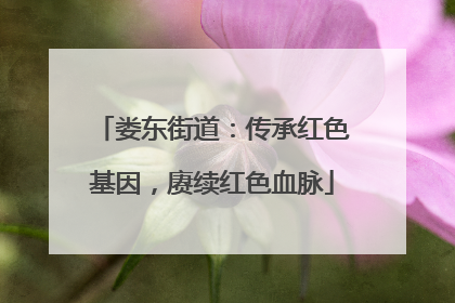娄东街道：传承红色基因，赓续红色血脉