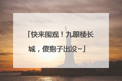 快来围观！九眼楼长城，傻狍子出没~