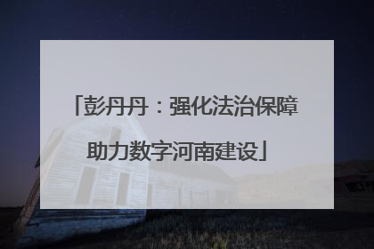 彭丹丹：强化法治保障 助力数字河南建设