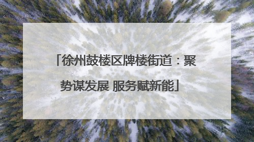 徐州鼓楼区牌楼街道：聚势谋发展 服务赋新能