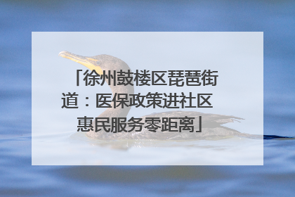 徐州鼓楼区琵琶街道：医保政策进社区 惠民服务零距离